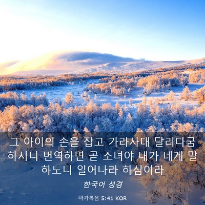 Picture 03 - 마가복음 5:41 KOR - 그 아이의 손을 잡고 가라사대 - Bible Verse Picture
