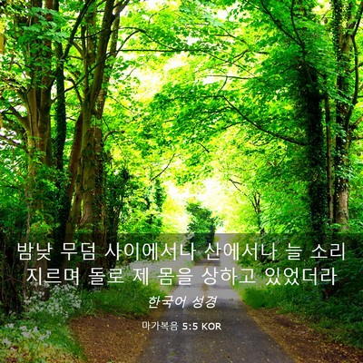 Picture 03 - 마가복음 5:5 KOR - 밤낮 무덤 사이에서나 산에서나 늘 - Bible Verse Picture