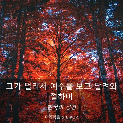 Picture 03 - 마가복음 5:6 KOR - 그가 멀리서 예수를 보고 달려와 - Bible Verse Picture