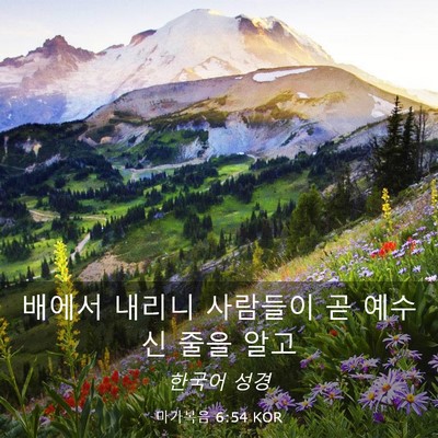 Picture 03 - 마가복음 6:54 KOR - 배에서 내리니 사람들이 곧 예수신 - Bible Verse Picture
