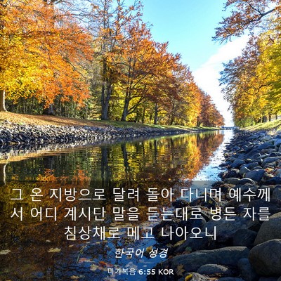 Picture 03 - 마가복음 6:55 KOR - 그 온 지방으로 달려 돌아 다니며 - Bible Verse Picture
