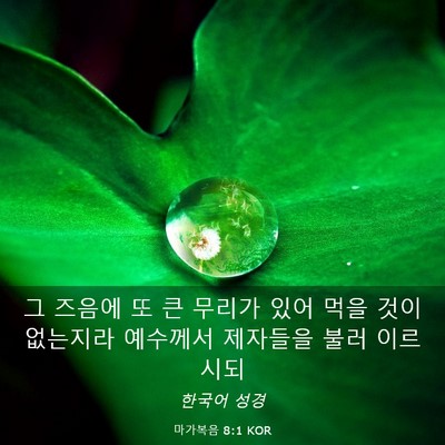 Picture 03 - 마가복음 8:1 KOR - 그 즈음에 또 큰 무리가 있어 먹을 - Bible Verse Picture