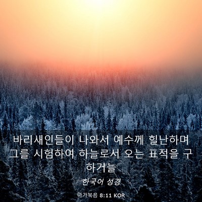 Picture 03 - 마가복음 8:11 KOR - 바리새인들이 나와서 예수께 - Bible Verse Picture