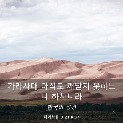 Picture 03 - 마가복음 8:21 KOR - 가라사대 아직도 깨닫지 못하느냐 - Bible Verse Picture
