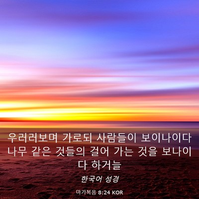 Picture 03 - 마가복음 8:24 KOR - 우러러보며 가로되 사람들이 - Bible Verse Picture