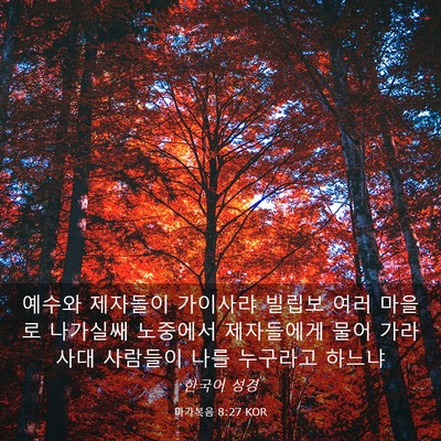 Picture 03 - 마가복음 8:27 KOR - 예수와 제자들이 가이사랴 빌립보 - Bible Verse Picture