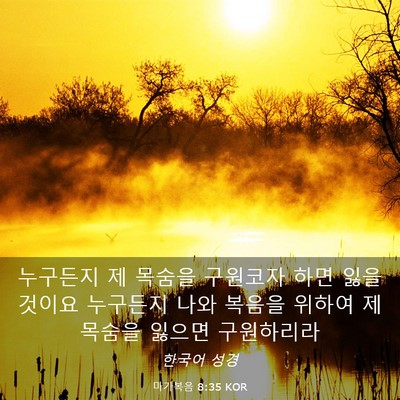 Picture 03 - 마가복음 8:35 KOR - 누구든지 제 목숨을 구원코자 하면 - Bible Verse Picture