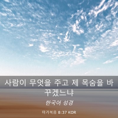 Picture 03 - 마가복음 8:37 KOR - 사람이 무엇을 주고 제 목숨을 - Bible Verse Picture