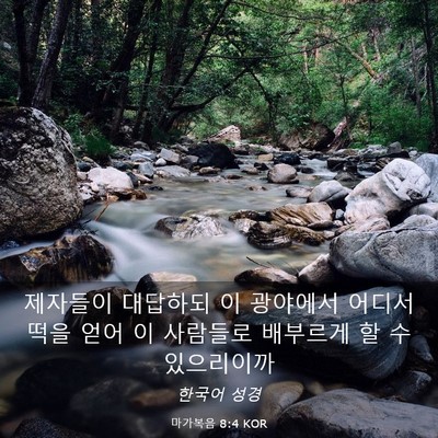 Picture 03 - 마가복음 8:4 KOR - 제자들이 대답하되 이 광야에서 - Bible Verse Picture