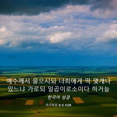 Picture 03 - 마가복음 8:5 KOR - 예수께서 물으시되 너희에게 떡 - Bible Verse Picture