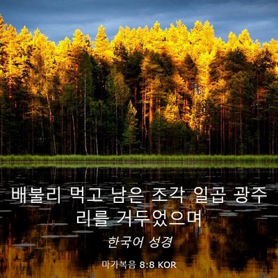 Picture 03 - 마가복음 8:8 KOR - 배불리 먹고 남은 조각 일곱 - Bible Verse Picture