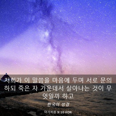 Picture 03 - 마가복음 9:10 KOR - 저희가 이 말씀을 마음에 두며 서로 - Bible Verse Picture