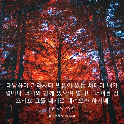Picture 03 - 마가복음 9:19 KOR - 대답하여 가라사대 믿음이 없는 - Bible Verse Picture