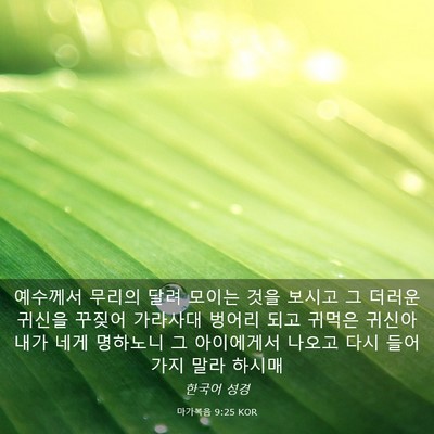 Picture 03 - 마가복음 9:25 KOR - 예수께서 무리의 달려 모이는 것을 - Bible Verse Picture