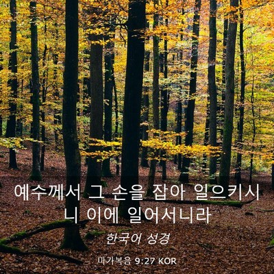 Picture 03 - 마가복음 9:27 KOR - 예수께서 그 손을 잡아 일으키시니 - Bible Verse Picture