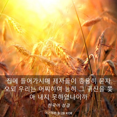 Picture 03 - 마가복음 9:28 KOR - 집에 들어가시매 제자들이 종용히 - Bible Verse Picture