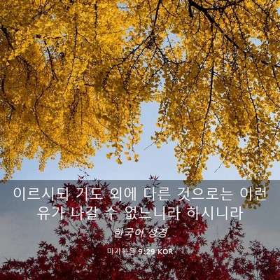 Picture 03 - 마가복음 9:29 KOR - 이르시되 기도 외에 다른 것으로는 - Bible Verse Picture