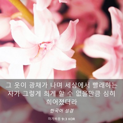 Picture 03 - 마가복음 9:3 KOR - 그 옷이 광채가 나며 세상에서 - Bible Verse Picture