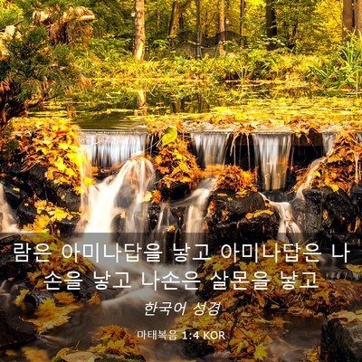 Picture 03 - 마태복음 1:4 KOR - 람은 아미나답을 낳고 아미나답은 - Bible Verse Picture