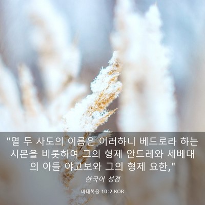 Picture 03 - 마태복음 10:2 KOR - 