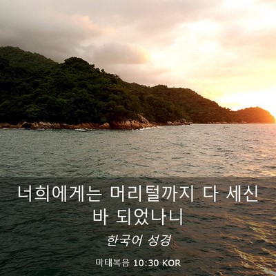 Picture 03 - 마태복음 10:30 KOR - 너희에게는 머리털까지 다 세신바 - Bible Verse Picture