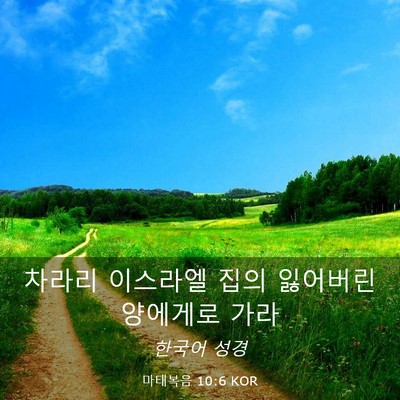 Picture 03 - 마태복음 10:6 KOR - 차라리 이스라엘 집의 잃어버린 - Bible Verse Picture