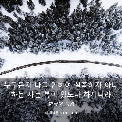 Picture 03 - 마태복음 11:6 KOR - 누구든지 나를 인하여 실족하지 - Bible Verse Picture