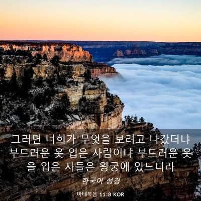 Picture 03 - 마태복음 11:8 KOR - 그러면 너희가 무엇을 보려고 - Bible Verse Picture