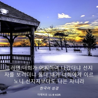 Picture 03 - 마태복음 11:9 KOR - 그러면 너희가 어찌하여 나갔더냐 - Bible Verse Picture