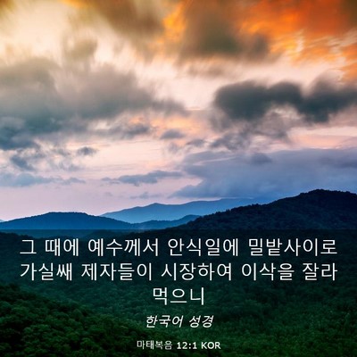 Picture 03 - 마태복음 12:1 KOR - 그 때에 예수께서 안식일에 - Bible Verse Picture