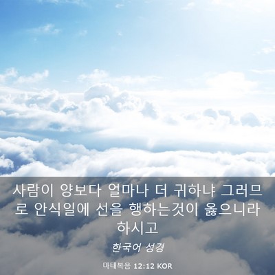 Picture 03 - 마태복음 12:12 KOR - 사람이 양보다 얼마나 더 귀하냐 - Bible Verse Picture