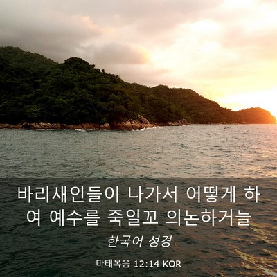 Picture 03 - 마태복음 12:14 KOR - 바리새인들이 나가서 어떻게 하여 - Bible Verse Picture