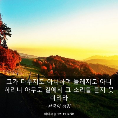 Picture 03 - 마태복음 12:19 KOR - 그가 다투지도 아니하며 들레지도 - Bible Verse Picture