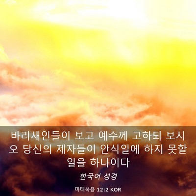 Picture 03 - 마태복음 12:2 KOR - 바리새인들이 보고 예수께 고하되 - Bible Verse Picture
