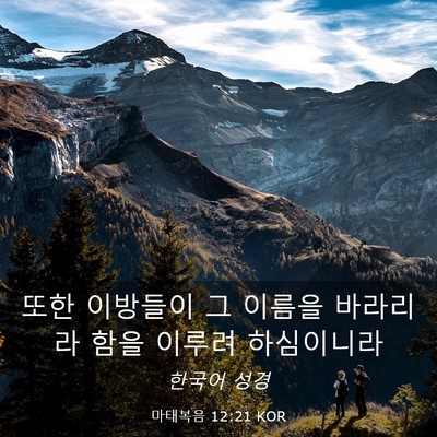 Picture 03 - 마태복음 12:21 KOR - 또한 이방들이 그 이름을 바라리라 - Bible Verse Picture