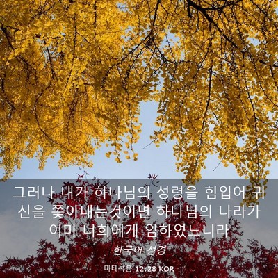 Picture 03 - 마태복음 12:28 KOR - 그러나 내가 하나님의 성령을 힘입어 - Bible Verse Picture