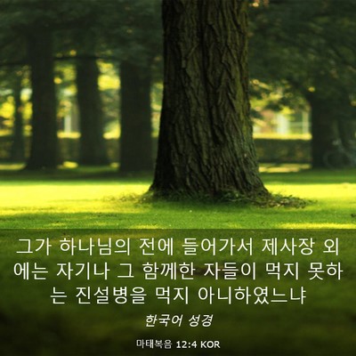 Picture 03 - 마태복음 12:4 KOR - 그가 하나님의 전에 들어가서 제사장 - Bible Verse Picture
