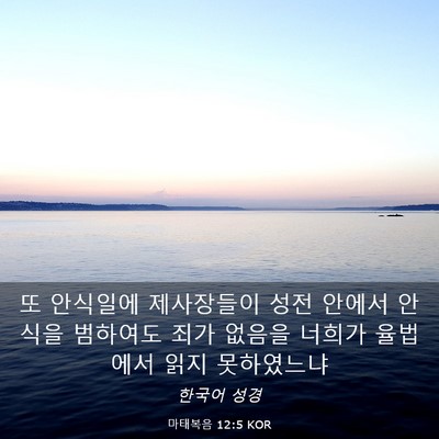 Picture 03 - 마태복음 12:5 KOR - 또 안식일에 제사장들이 성전 안에서 - Bible Verse Picture