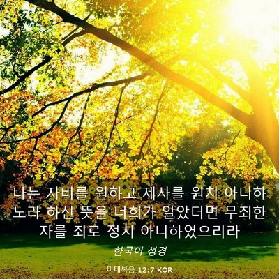 Picture 03 - 마태복음 12:7 KOR - 나는 자비를 원하고 제사를 원치 - Bible Verse Picture