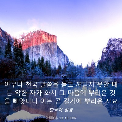 Picture 03 - 마태복음 13:19 KOR - 아무나 천국 말씀을 듣고 깨닫지 - Bible Verse Picture