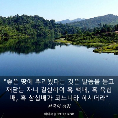 Picture 03 - 마태복음 13:23 KOR - 