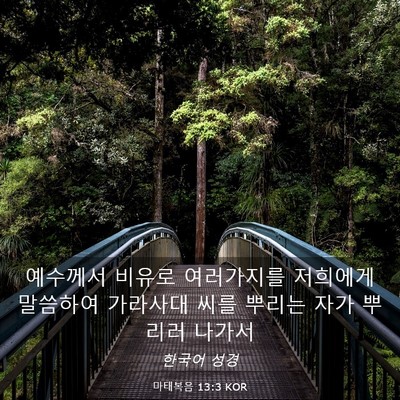 Picture 03 - 마태복음 13:3 KOR - 예수께서 비유로 여러가지를 - Bible Verse Picture