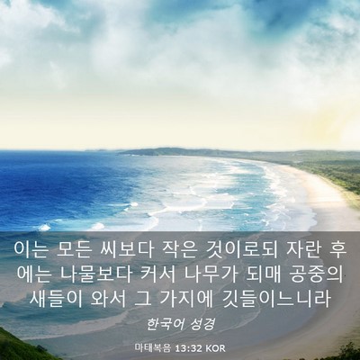 Picture 03 - 마태복음 13:32 KOR - 이는 모든 씨보다 작은 것이로되 - Bible Verse Picture