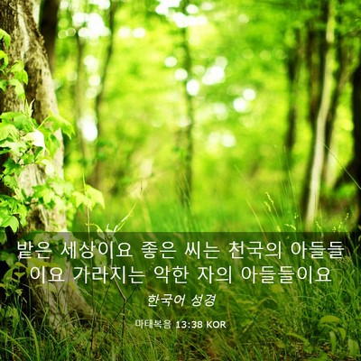 Picture 03 - 마태복음 13:38 KOR - 밭은 세상이요 좋은 씨는 천국의 - Bible Verse Picture