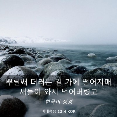 Picture 03 - 마태복음 13:4 KOR - 뿌릴쌔 더러는 길 가에 떨어지매 - Bible Verse Picture