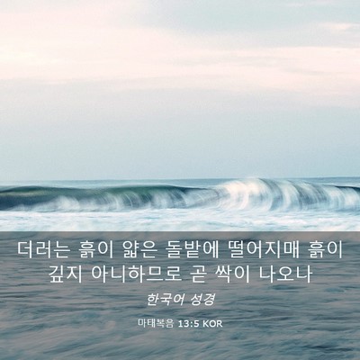 Picture 03 - 마태복음 13:5 KOR - 더러는 흙이 얇은 돌밭에 떨어지매 - Bible Verse Picture