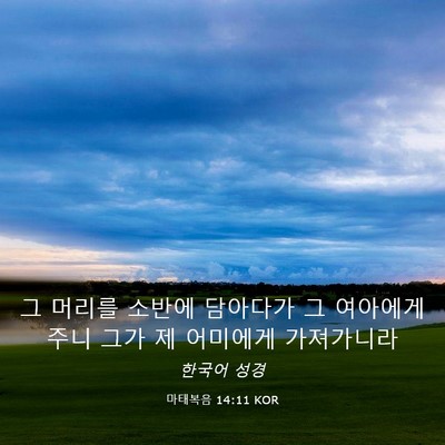 Picture 03 - 마태복음 14:11 KOR - 그 머리를 소반에 담아다가 그 - Bible Verse Picture