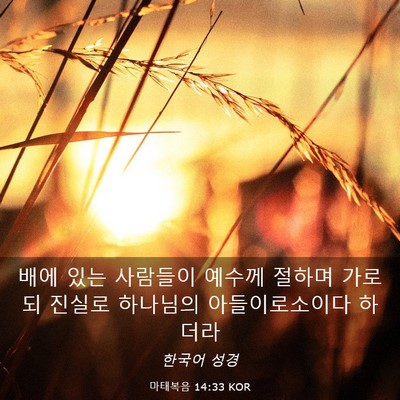 Picture 03 - 마태복음 14:33 KOR - 배에 있는 사람들이 예수께 절하며 - Bible Verse Picture
