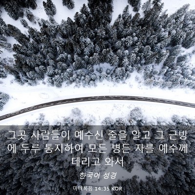 Picture 03 - 마태복음 14:35 KOR - 그곳 사람들이 예수신 줄을 알고 그 - Bible Verse Picture
