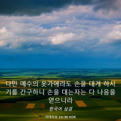 Picture 03 - 마태복음 14:36 KOR - 다만 예수의 옷가에라도 손을 대게 - Bible Verse Picture